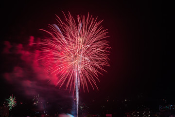 fireworks in the night sky