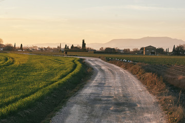 Agricultural landscape in the vega of Granada