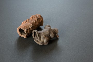 Zeugen der Vergangenheit - Kleine Relikte eines versteinerten Waldes - Fundstücke aus der Sahara