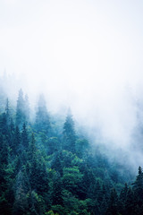 Misty mountain landscape