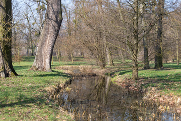 Park through which the river flows. Trees reflecting in the water.