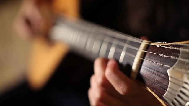 playing twelve steel strings portuguese guitar fado