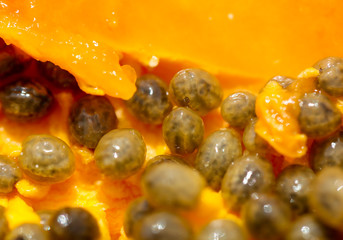 Seeds in orange papaya fruit.