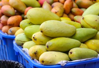 Mango fruits on the market