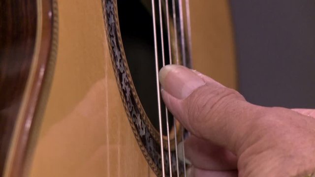 playing twelve steel strings portuguese guitar fado