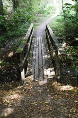 Waldweg mit Holzbrücke aus einfachen Brettern und Balken