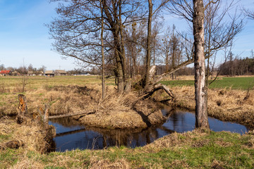 Wiosna na Podlasiu. Dolina Górnej Narwi. Piękne Podlasie, Polska © podlaski49