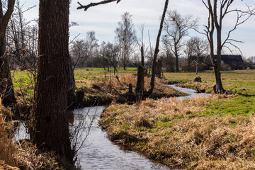 Wiosna na Podlasiu. Dolina Górnej Narwi. Piękne Podlasie, Polska © podlaski49