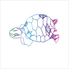 Color neon illustration of a wise tortoise. Swimming turtle in motion with ornament.