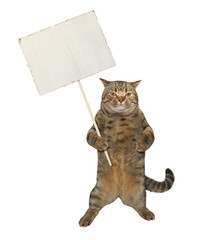 The beige cat is holding a paper blank white sign on a stick. White background. Isolated.