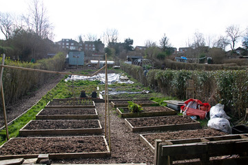 Naklejka premium Tidy allotment ready for spring planting