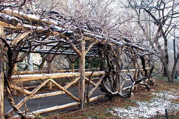 Nueva York City. Central Park in winter