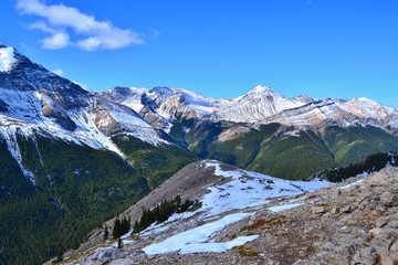 Fototapeta na wymiar Sulphur skyline trail. Beautiful high mountains covered with snow, green forrest, white clouds, blue sky. National Park Jasper, Canada.
