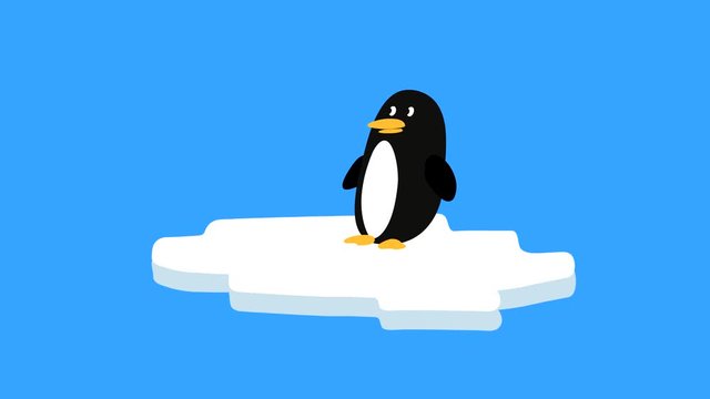 Cartoon penguin flat animation