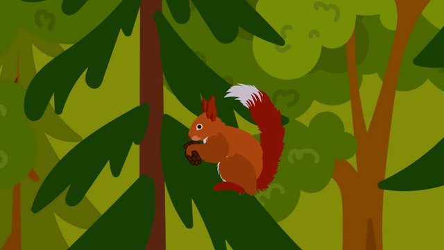 Cartoon squirrel flat animation video