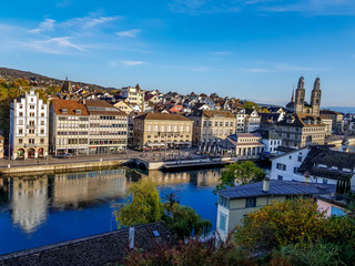 Obraz premium Walking in park an with animals