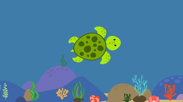 Cartoon turtle flat animation video