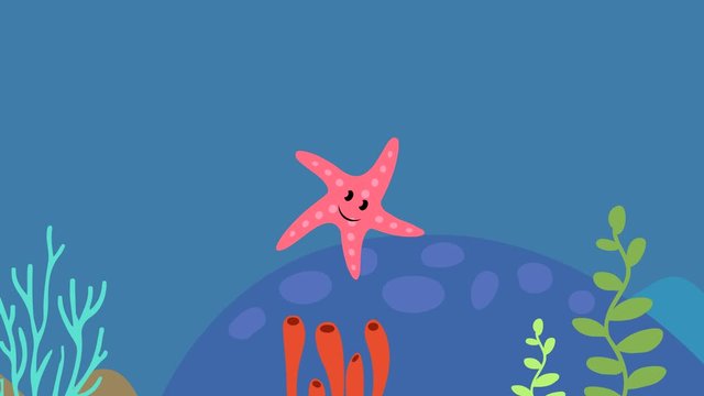 Cartoon starfish flat animation video