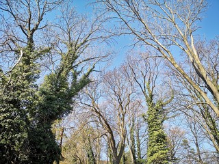wandern Buchkogel bei Graz im Winter