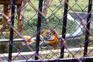 The beauty of Light and Nature