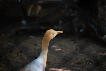 The beauty of Light and Nature