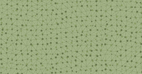 Fototapeta premium Low Polygonal Mesh computation Art background illustration