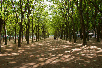 Caminho para o paraiso