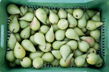 Pere