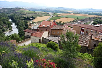 Obraz premium Scenic panorama of the outskirts of the Spanish town of Briones and its surroundings in June 2019