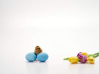 Colorful Easter eggs and chicks.