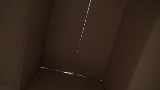 little boy opens a surprise parcel. kid a opens cardboard lifestyle box looking gift. child looks in the box is happy wonderment