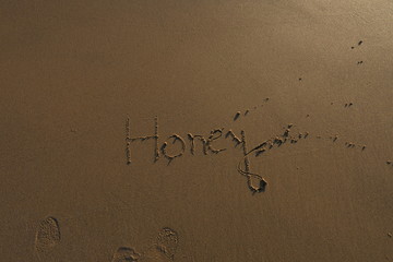 Background Quotes, Mandvi Beach of Kutch Gujarat India