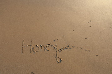 Background Quotes, Mandvi Beach of Kutch Gujarat India