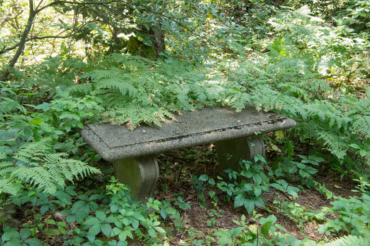 Bench In Houghton's Park, Newton MA