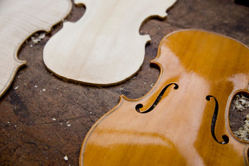 Violino