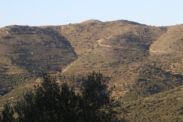Early spring: blooming landscapes in the Mediterranean island of Crete
