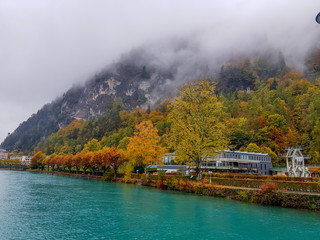 Walking with nature and animals