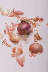 Single Red onion, with onion peels on white background