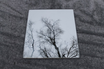 depressive apocalyptic landscape.saving planet concept.silhouettes of trees reflected in a mirror lying on a grey  ground