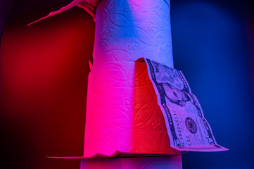 Toilettenpapier in der Coronakrise USA Dollar