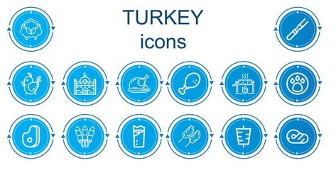Editable 14 turkey icons for web and mobile