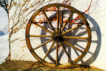 Austria, Wheel