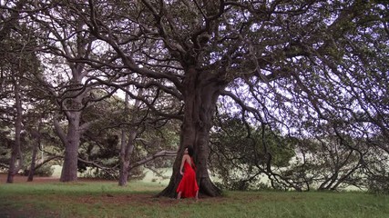 A Ballerina In A Long Dress Dancing Gracefully Featuring The Pirouette Followed By Grande Battement At The Front Of The Aged Tree. -wide shot