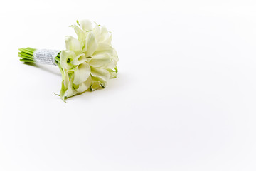 White calla lily flower