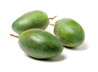mangos on white background 