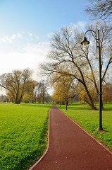 Running track in the park. Sunny day in the park. 