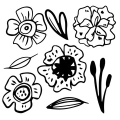 Fototapeta premium Single hand drawn exotic tropical flowers. In doodle style, black outline isolated on a white background. Cute element for cards, posters, social media banners, stickers. Vector illustration.