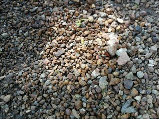 pebbles on the beach