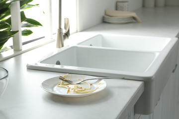 Dirty plate near sink on kitchen counter. Threat of pest infestation