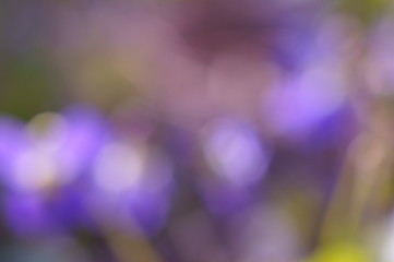 abstract background with bokeh